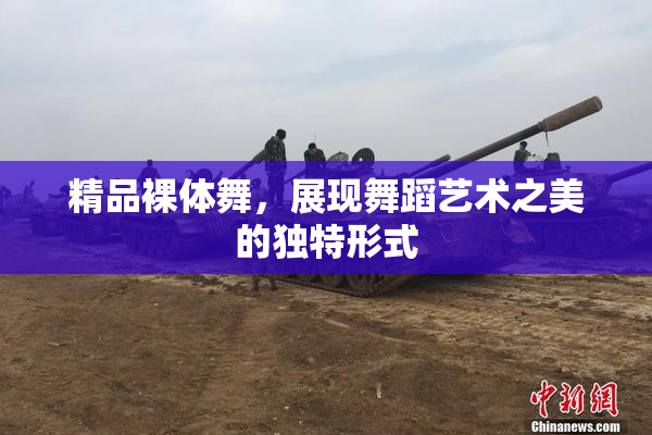 精品裸体舞，展现舞蹈艺术之美的独特形式