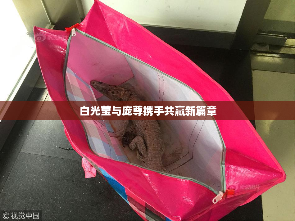 白光莹与庞尊携手共赢新篇章