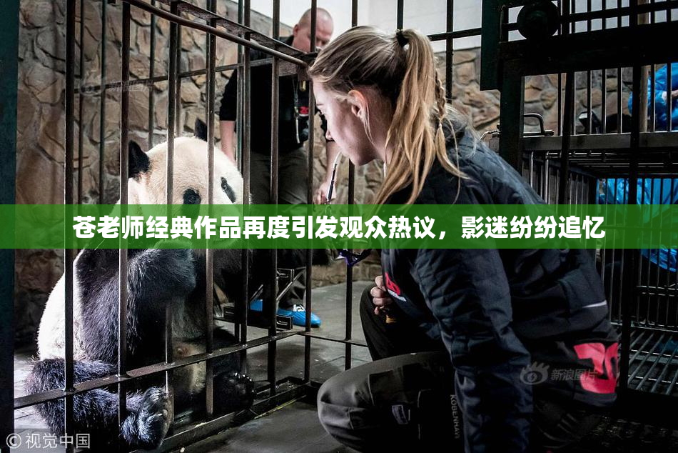 苍老师经典作品再度引发观众热议，影迷纷纷追忆