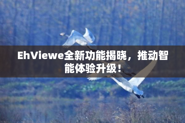 EhViewe全新功能揭晓，推动智能体验升级！