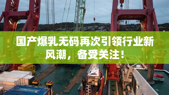 国产爆乳无码再次引领行业新风潮，备受关注！