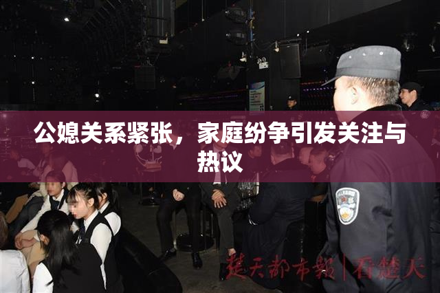 公媳关系紧张，家庭纷争引发关注与热议