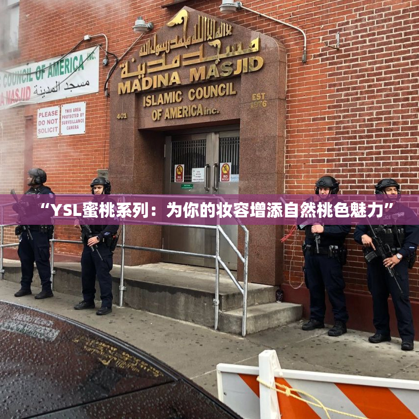 “YSL蜜桃系列：为你的妆容增添自然桃色魅力”
