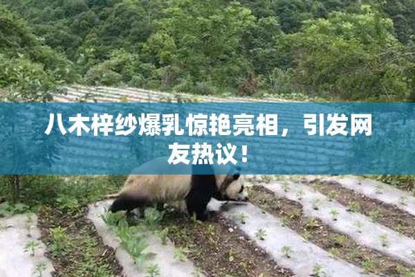 八木梓纱爆乳惊艳亮相，引发网友热议！