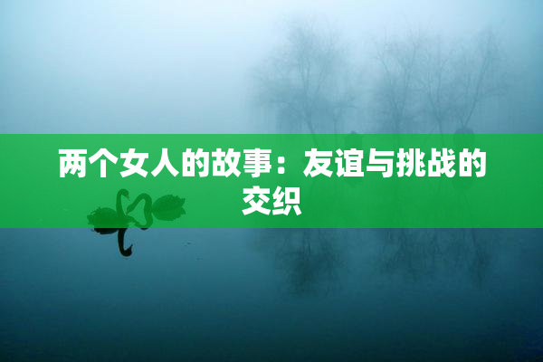 两个女人的故事：友谊与挑战的交织