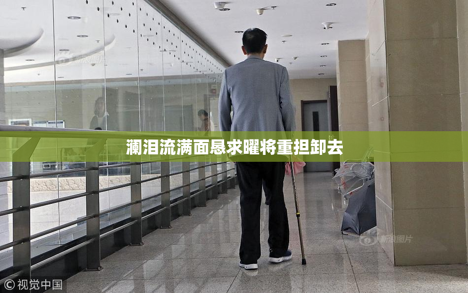 澜泪流满面恳求曜将重担卸去