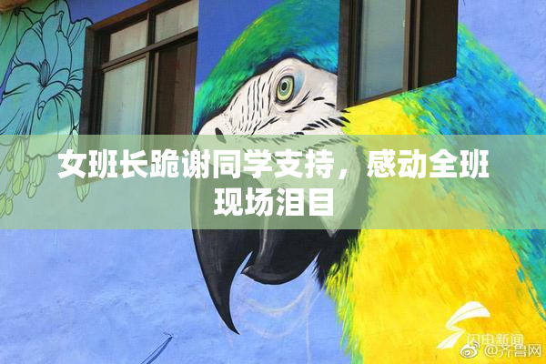 女班长跪谢同学支持，感动全班现场泪目