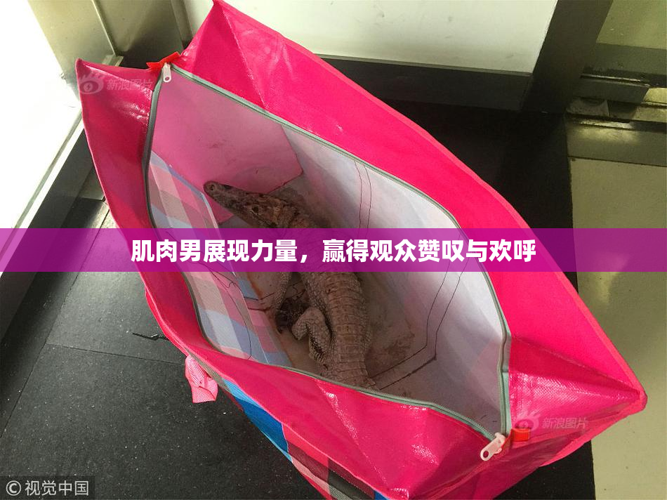 肌肉男展现力量，赢得观众赞叹与欢呼