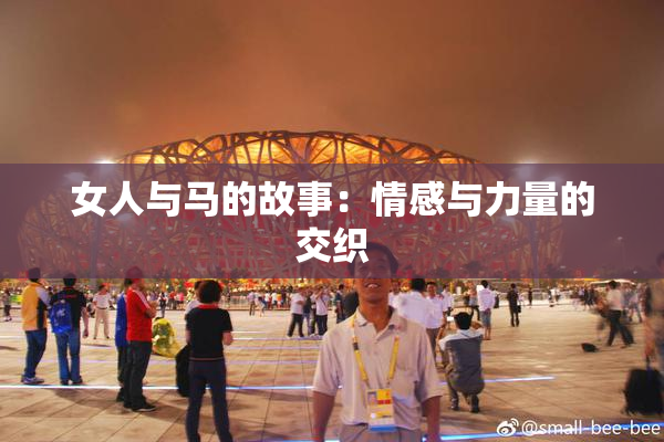 女人与马的故事：情感与力量的交织