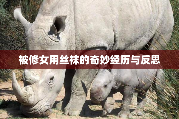 被修女用丝袜的奇妙经历与反思