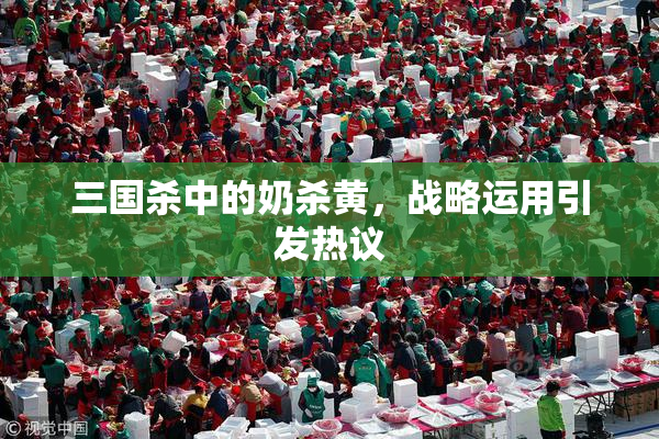 三国杀中的奶杀黄，战略运用引发热议