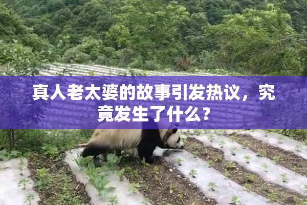 真人老太婆的故事引发热议，究竟发生了什么？