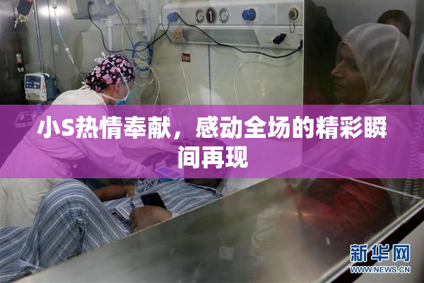 小S热情奉献，感动全场的精彩瞬间再现