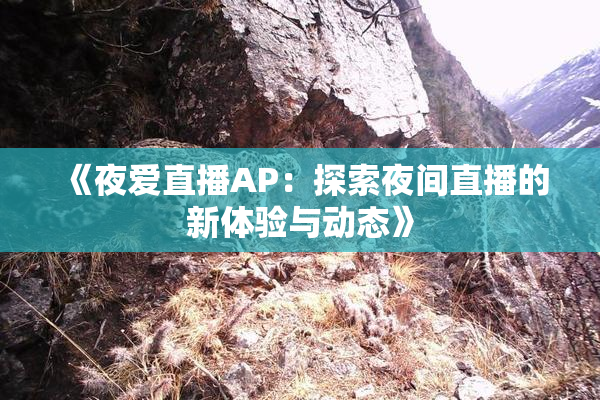 《夜爱直播AP：探索夜间直播的新体验与动态》