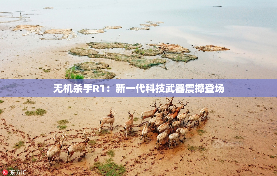 无机杀手R1：新一代科技武器震撼登场
