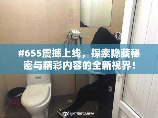 #655震撼上线，探索隐藏秘密与精彩内容的全新视界！
