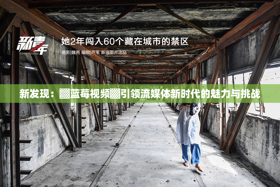 新发现：▓蓝莓视频▓引领流媒体新时代的魅力与挑战