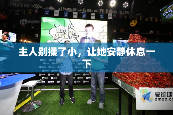 主人别揉了小，让她安静休息一下