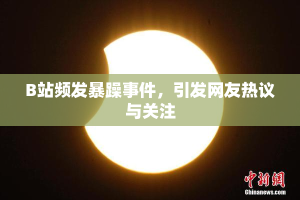 B站频发暴躁事件，引发网友热议与关注