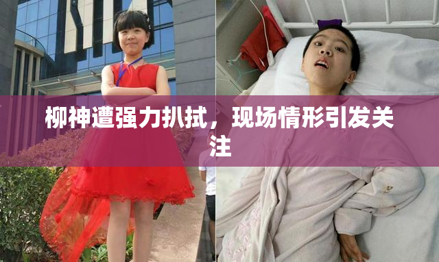 柳神遭强力扒拭，现场情形引发关注