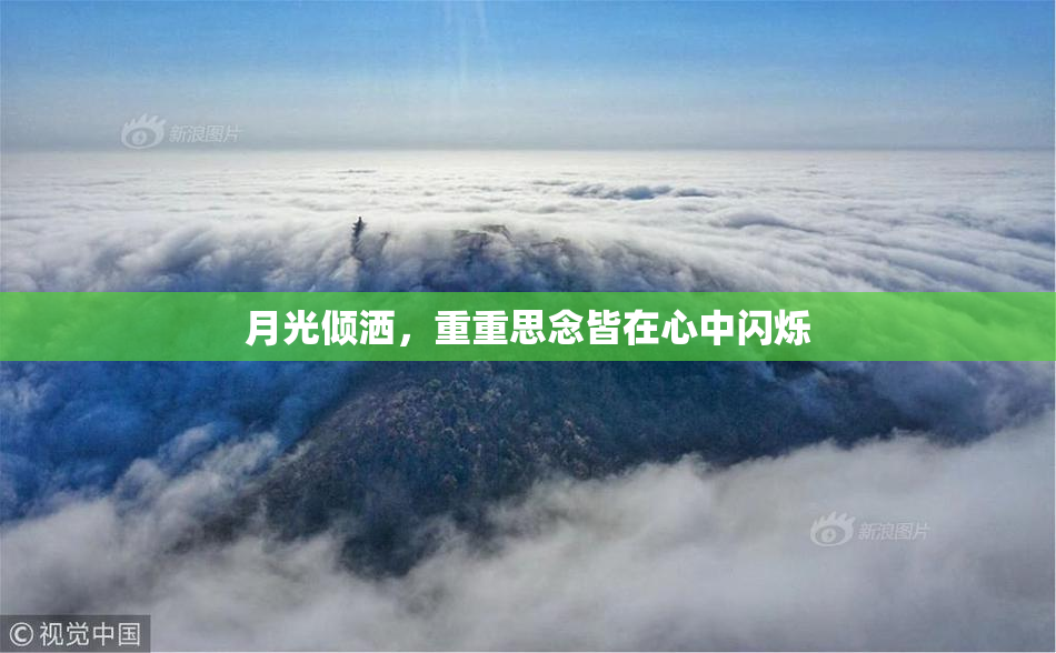 月光倾洒，重重思念皆在心中闪烁