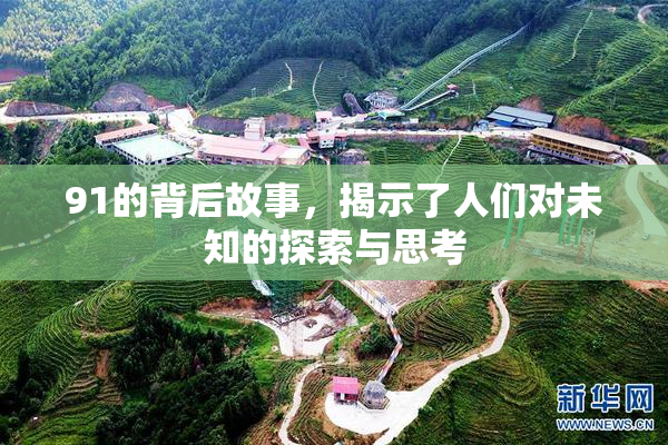 91的背后故事，揭示了人们对未知的探索与思考