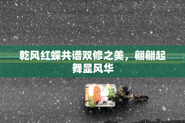 乾风红蝶共谱双修之美，翩翩起舞显风华