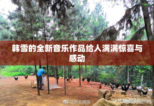 韩雪的全新音乐作品给人满满惊喜与感动