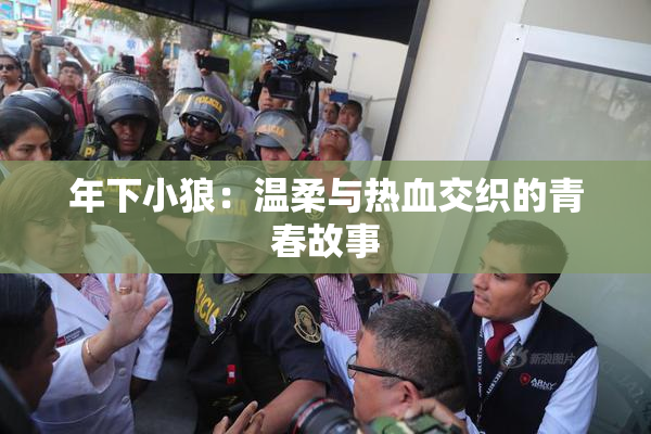 年下小狼：温柔与热血交织的青春故事