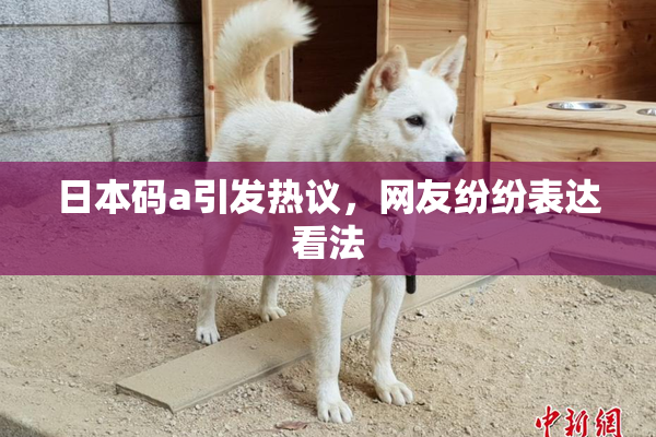 日本码a引发热议，网友纷纷表达看法