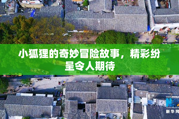 小狐狸的奇妙冒险故事，精彩纷呈令人期待