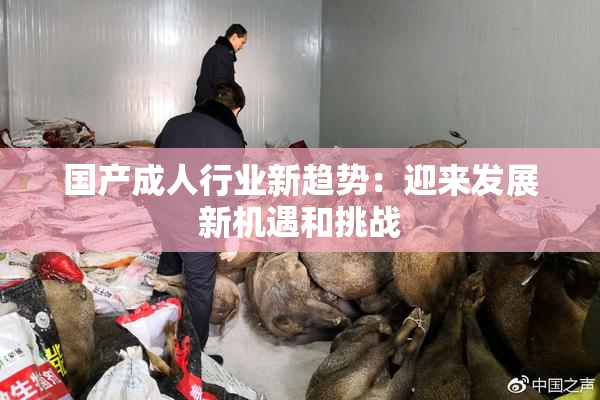 国产成人行业新趋势：迎来发展新机遇和挑战