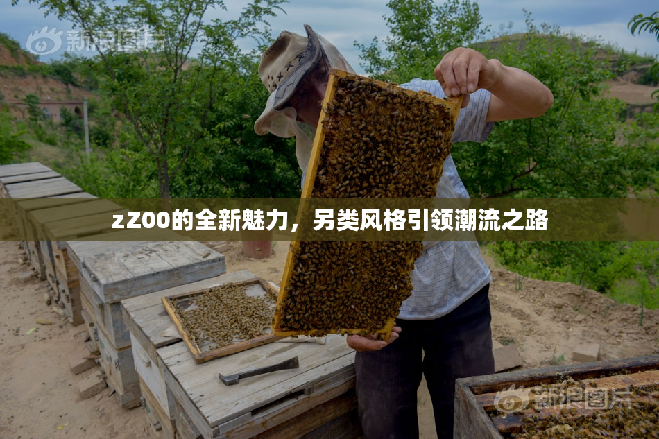 zZ00的全新魅力，另类风格引领潮流之路