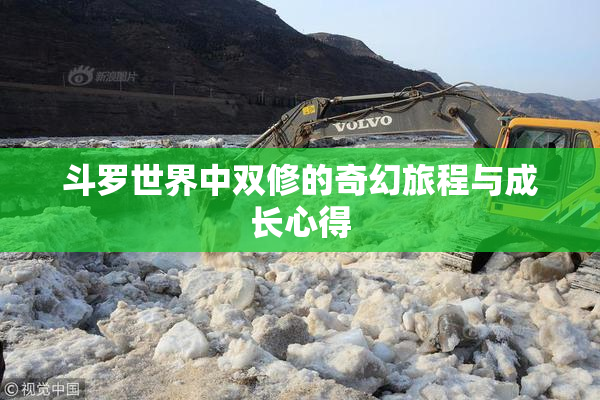 斗罗世界中双修的奇幻旅程与成长心得