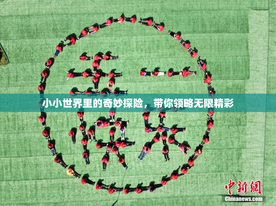 小小世界里的奇妙探险，带你领略无限精彩