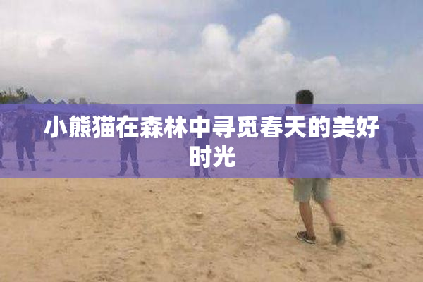 小熊猫在森林中寻觅春天的美好时光