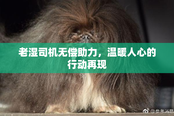 老湿司机无偿助力，温暖人心的行动再现