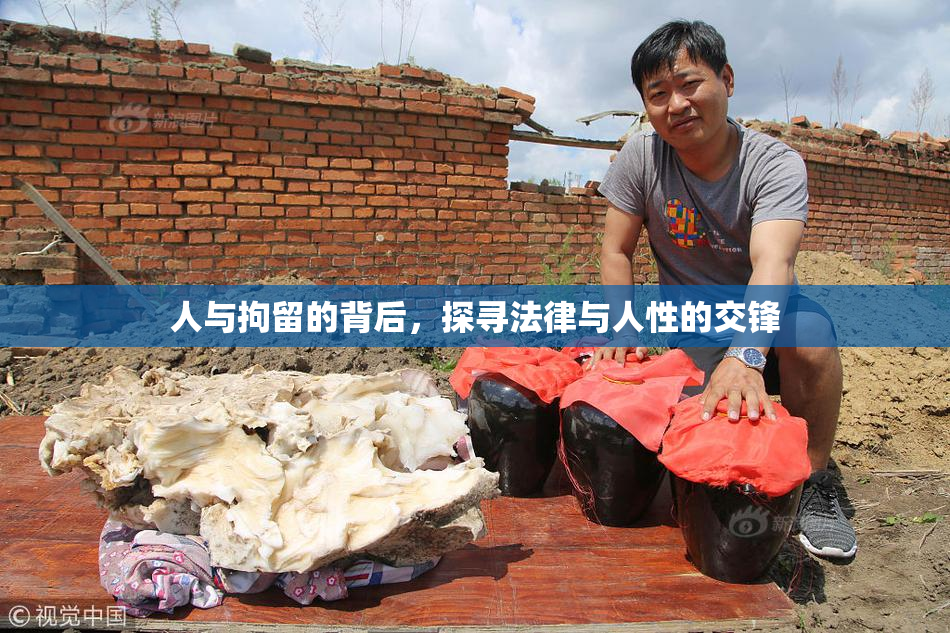 人与拘留的背后，探寻法律与人性的交锋