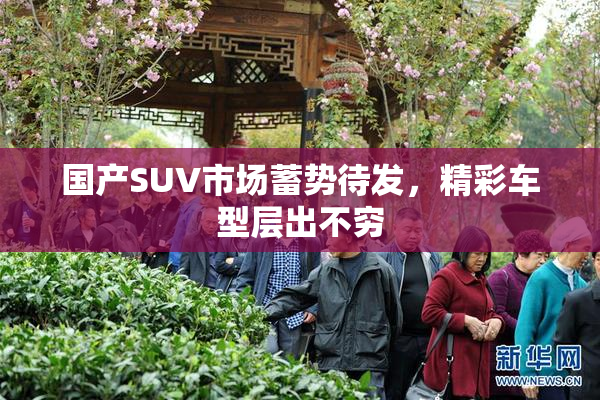 国产SUV市场蓄势待发，精彩车型层出不穷