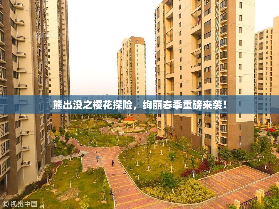 熊出没之樱花探险，绚丽春季重磅来袭！