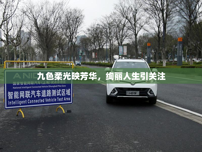 九色柔光映芳华，绚丽人生引关注