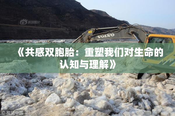 《共感双胞胎：重塑我们对生命的认知与理解》