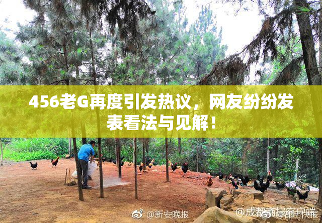 456老G再度引发热议，网友纷纷发表看法与见解！