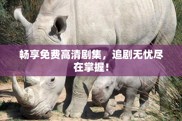 畅享免费高清剧集，追剧无忧尽在掌握！