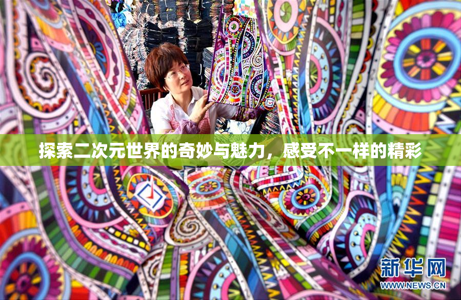 探索二次元世界的奇妙与魅力，感受不一样的精彩