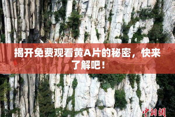 揭开免费观看黄A片的秘密，快来了解吧！