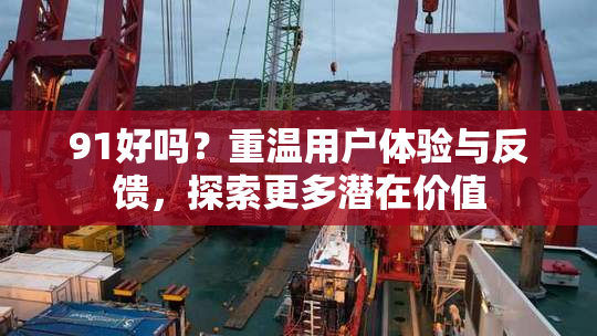 91好吗？重温用户体验与反馈，探索更多潜在价值