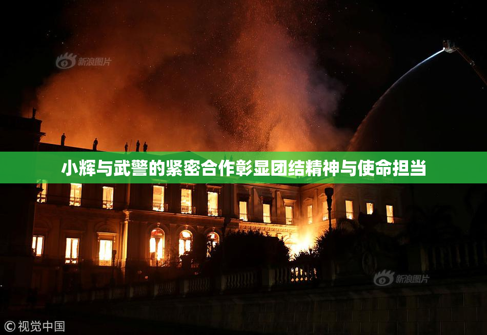 小辉与武警的紧密合作彰显团结精神与使命担当