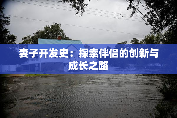 妻子开发史：探索伴侣的创新与成长之路