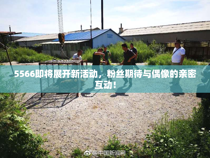 5566即将展开新活动，粉丝期待与偶像的亲密互动！
